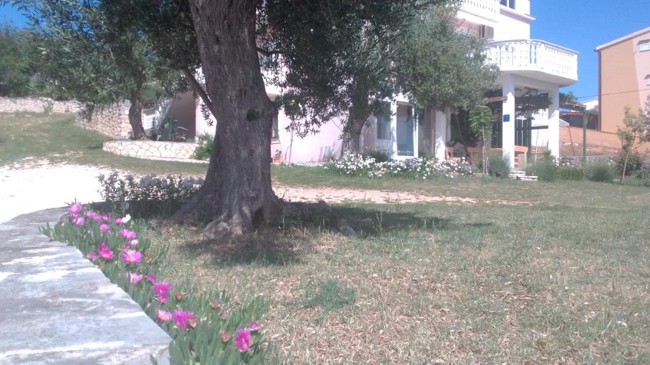 Apartments Sara Posedarje Esterno foto